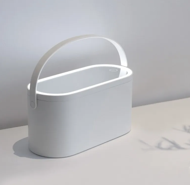 Illuminated Beauty Organizer Mirror