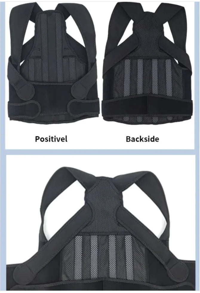 AlignBack Support Belt