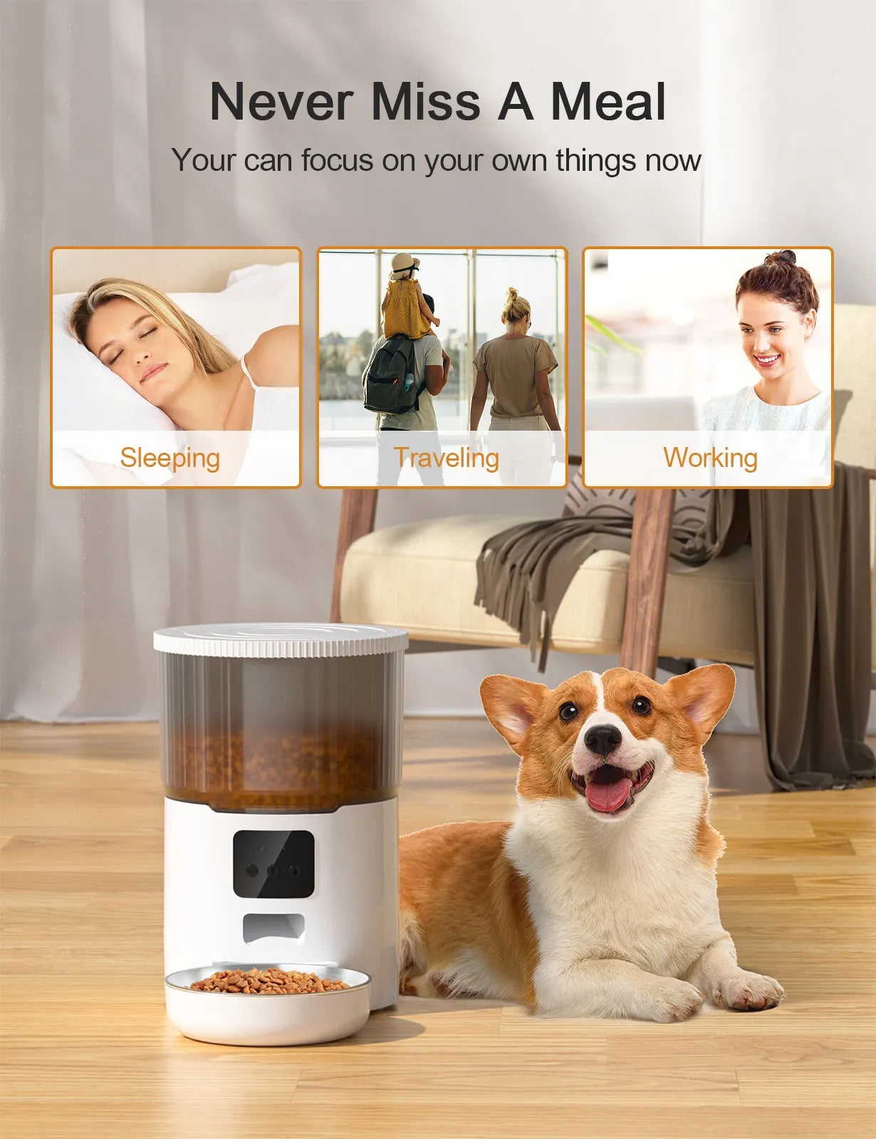 Dual Pet Smart Feeder