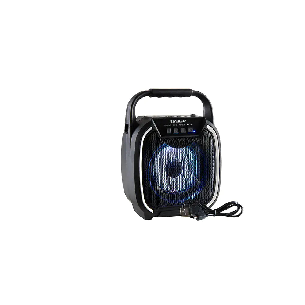 Portable 600W TWS Bluetooth Speaker