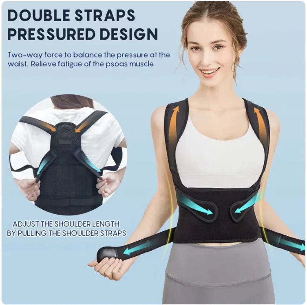 AlignBack Support Belt