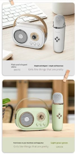 Mobile Karaoke Bluetooth Speaker