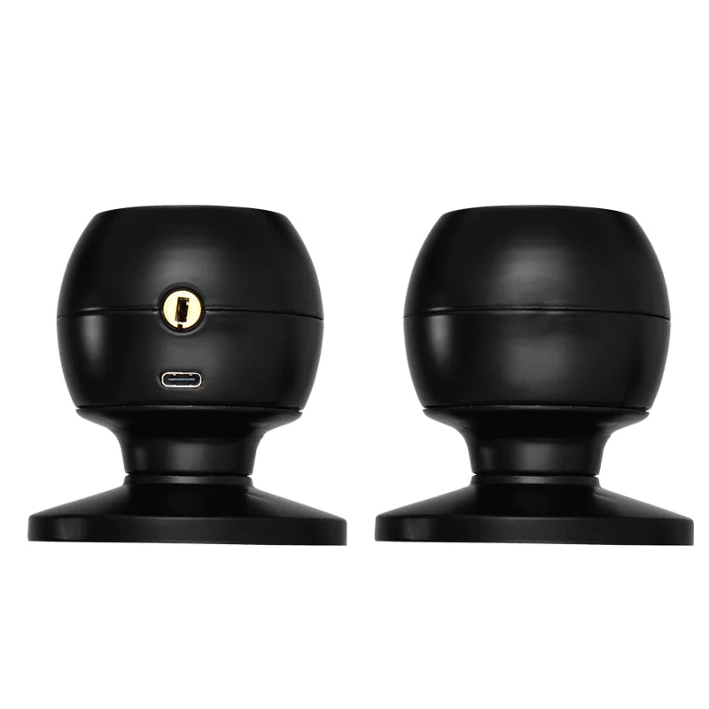 Secure Access Smart Lock