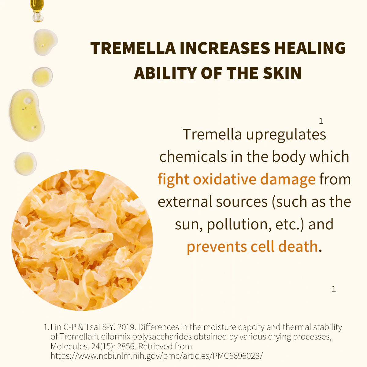 Anti-Aging Tremella &amp; Reishi Mushroom Face Oil Serum - by Fungi Guru