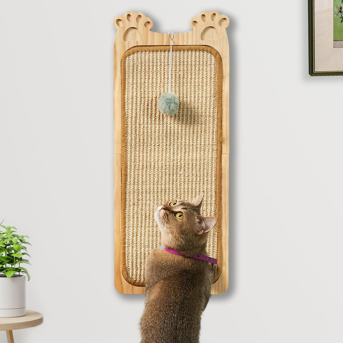 Chic Wall Cat Scratcher with Play Ball