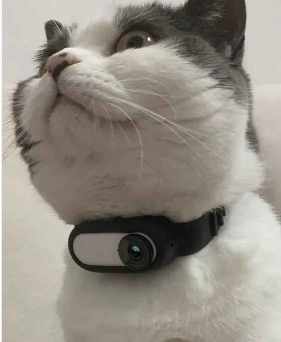 Pet View Wireless Collar Cam