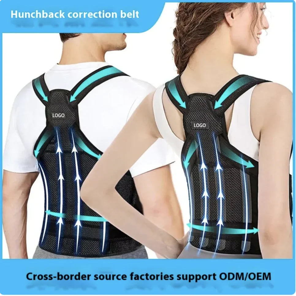AlignBack Support Belt