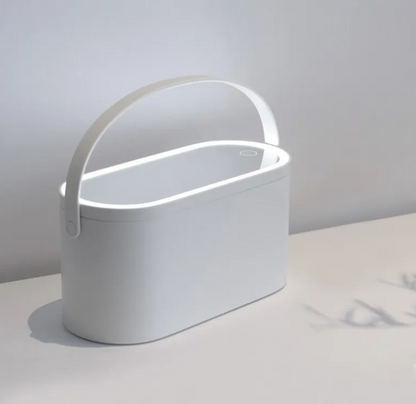 Illuminated Beauty Organizer Mirror