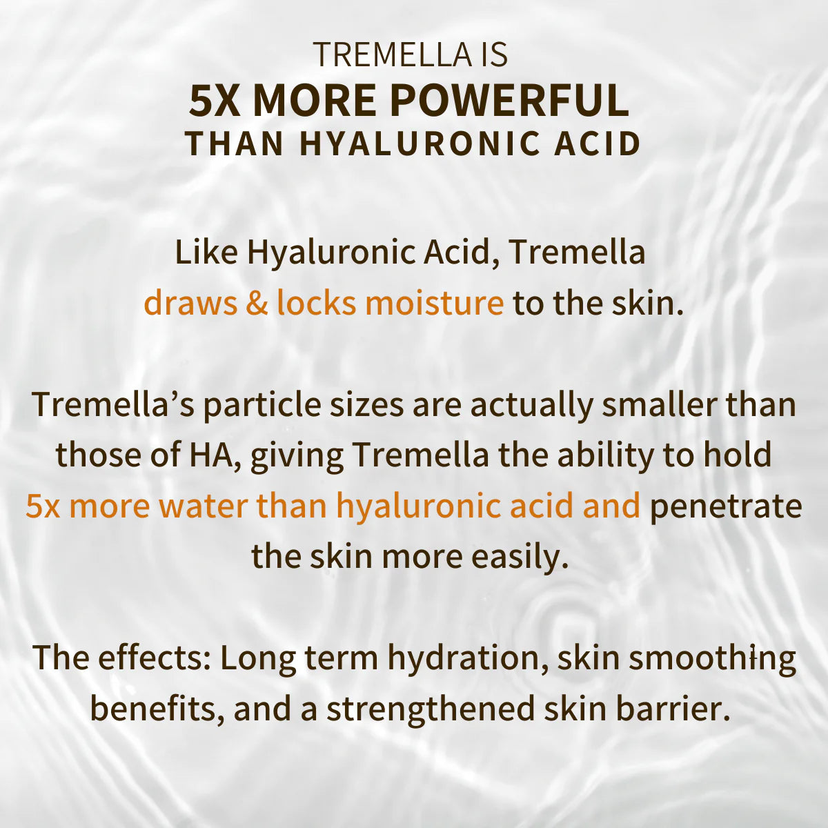 Anti-Aging Tremella &amp; Reishi Mushroom Face Oil Serum - by Fungi Guru