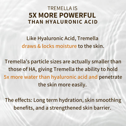 Anti-Aging Tremella &amp; Reishi Mushroom Face Oil Serum - by Fungi Guru