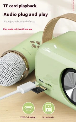 Mobile Karaoke Bluetooth Speaker