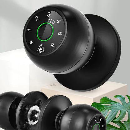 Secure Access Smart Lock