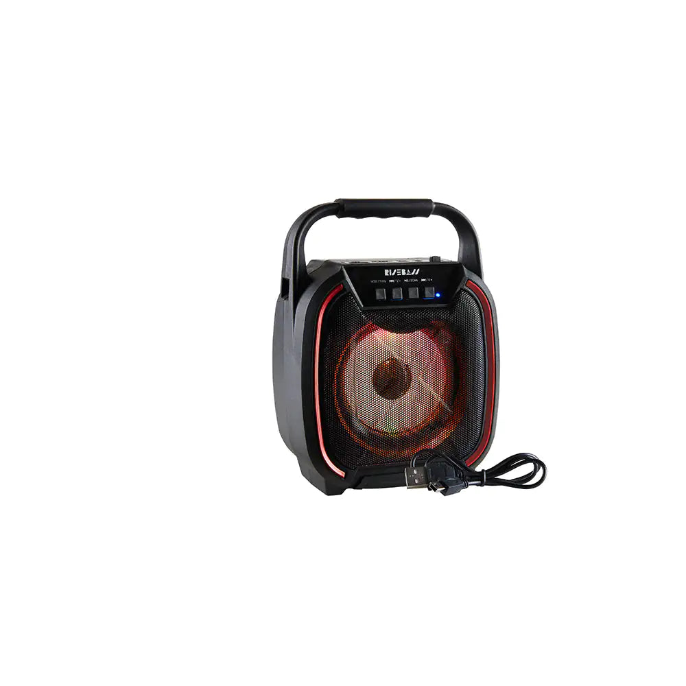 Portable 600W TWS Bluetooth Speaker