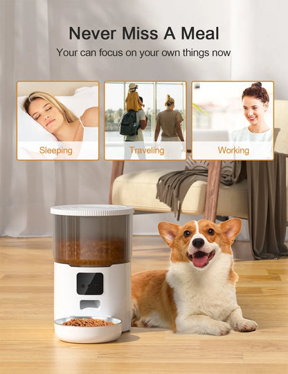 Dual Pet Smart Feeder
