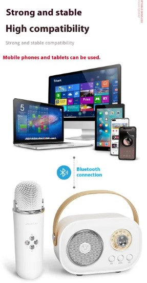 Mobile Karaoke Bluetooth Speaker
