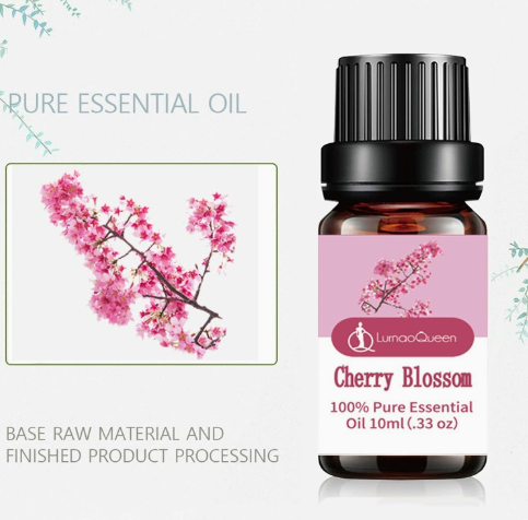 Car Air Freshener Aromatherapy Essential Oil