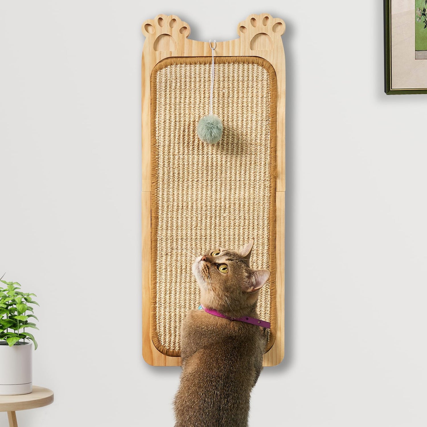 Chic Wall Cat Scratcher with Play Ball