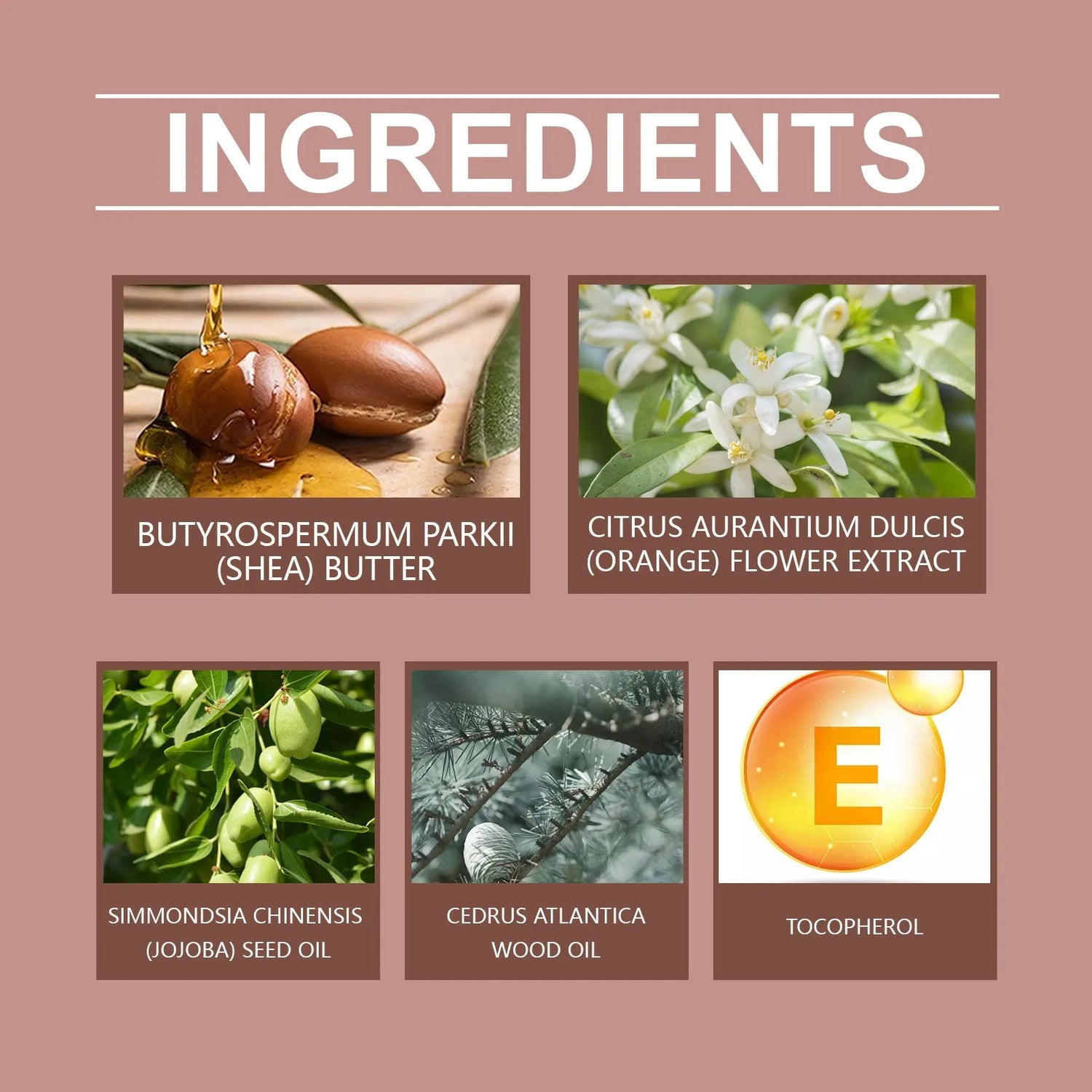 Warm Scent Men&