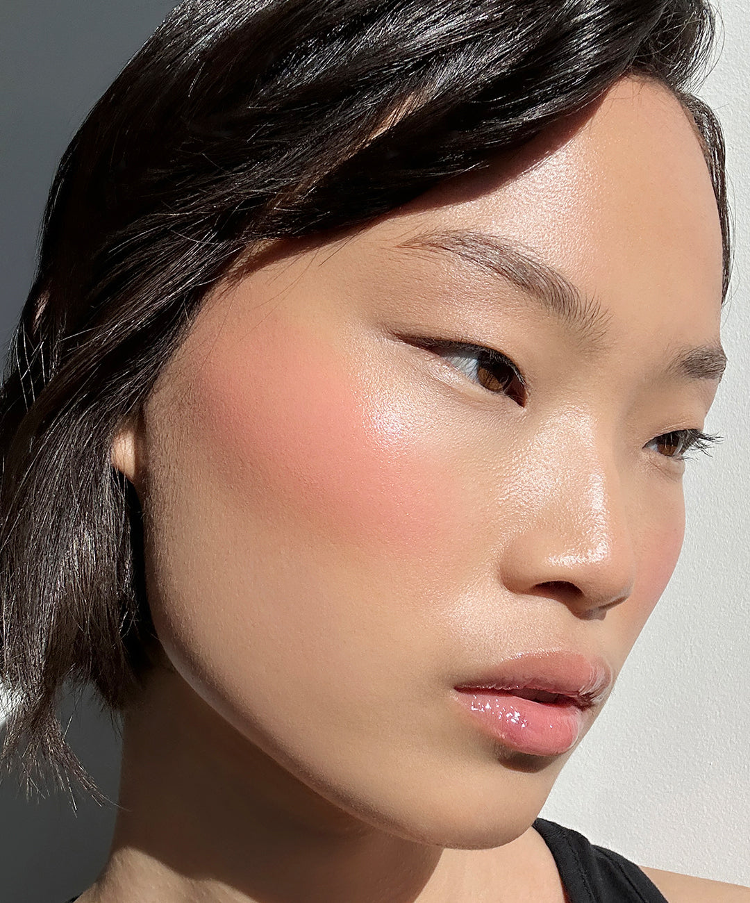 Glow &amp; Shine Lip Blush Set