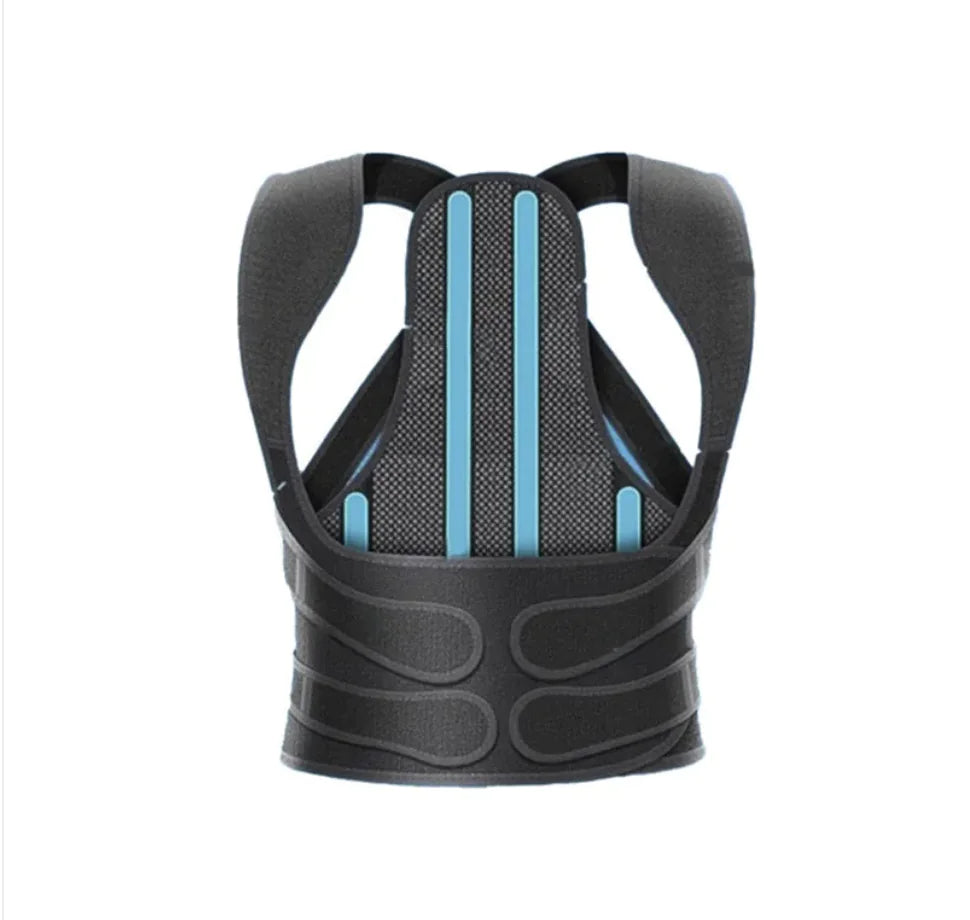 AlignBack Support Belt