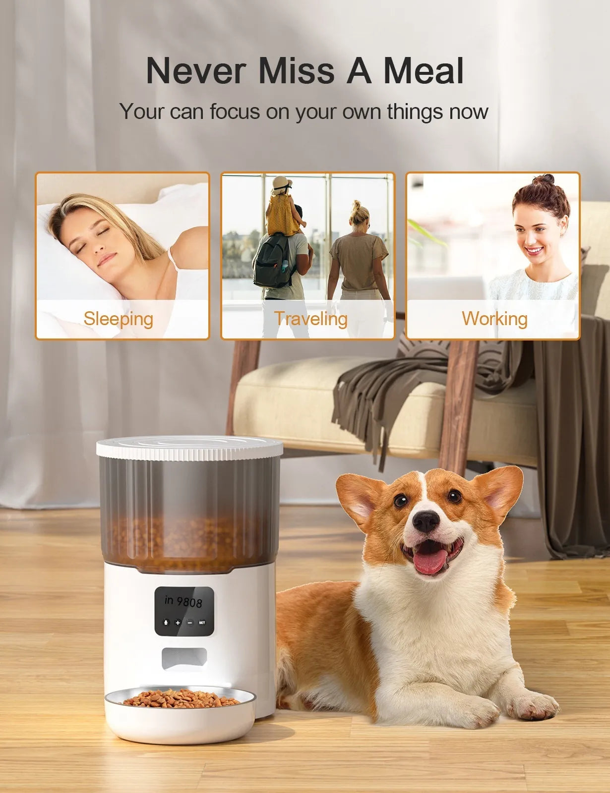 Dual Pet Smart Feeder