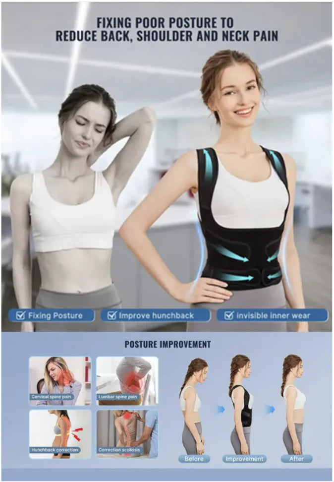 AlignBack Support Belt
